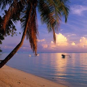 Meet your Posher, Riley